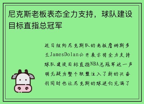 尼克斯老板表态全力支持，球队建设目标直指总冠军