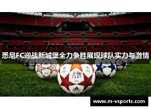 悉尼FC迎战新城堡全力争胜展现球队实力与激情