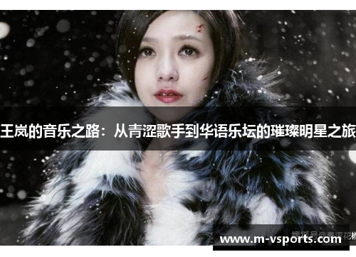 王岚的音乐之路：从青涩歌手到华语乐坛的璀璨明星之旅